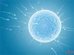 38岁供卵成功案例_六安助孕提醒：教你美国试管婴儿怎么避免胚胎发育不全和胎