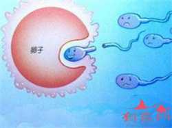 天津哪些医院可以做供卵试管？2022天津可以做供卵试管的医院